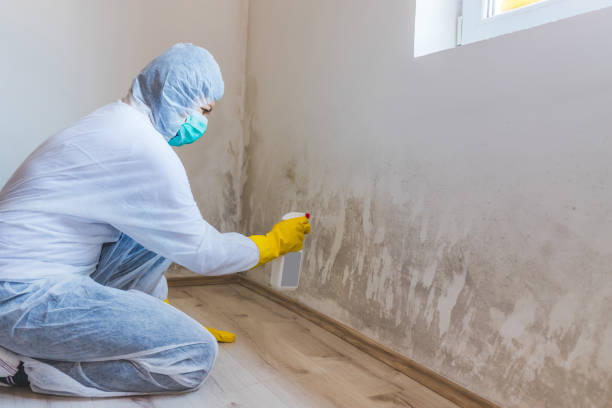 Licensed Mold Removal service in Wake Forest, NC - WQB Mold Removal