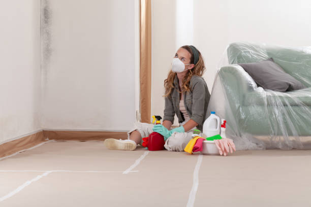 Reliable Mold Removal contractor in Wake Forest, NC by WQB Mold Removal